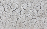 Fototapeta  - White cracked ground