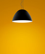 © peshkova - ceiling lamp