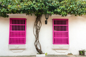 Poster - Pink and White Colonial Architecture