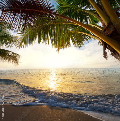 Naklejka na szafę Tropical beach