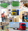 Collage Logistics and international shipping