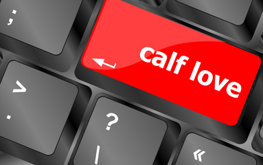 Poster - calf love words showing romance and love on keyboard keys