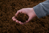 Peat