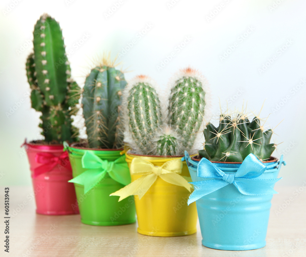 Collection of cactuses in bright pails on wooden table