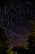 © tomaspic - Star trails 1