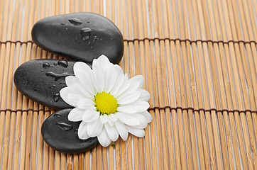 The spa a stone on bamboo background