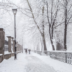 Wall Mural - winter city park in morning