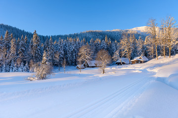 Wall Mural - winter landscape in black forest germany