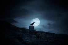 Full Moon Crow