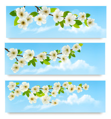 Aufkleber - Three spring banners with blossoming tree brunch with spring flo