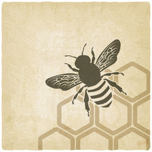 Bee Old Background - Vector Illustration