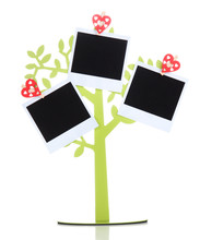 Holder In Form Of Tree With Instant Photo Cards Isolated