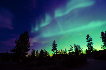 northern lights aurora borealis