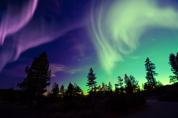 Wall Mural - northern lights aurora borealis