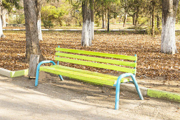 Wall Mural - old bench in autumn park