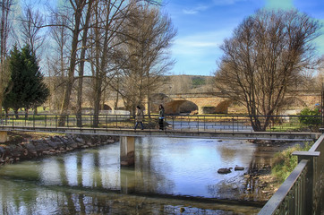 Wall Mural - river channel width between trees and vegetation