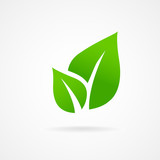 Fototapeta Na ścianę - Eco icon green leaf vector illustration isolated
