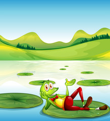 Wall Mural - A frog above the waterlily floating at the pond