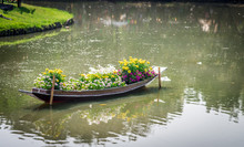 Flower In The Boat Decorate In The Park