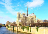 Fototapeta Paryż - Notre Dame de Paris