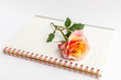 rose and notebook