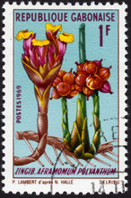 Gabonese Stamp 1969