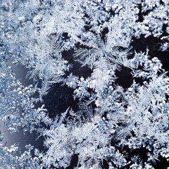 Sticker - snowflakes and frost pattern on glass close up