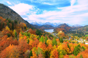 autumn landscape