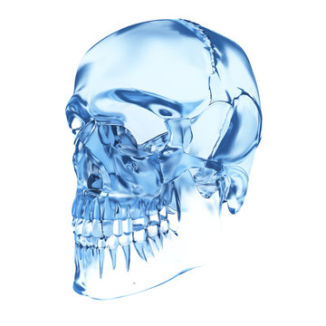3d rendered illustration of a skull made of glass