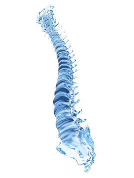3d rendered illustration of a spine made of glass