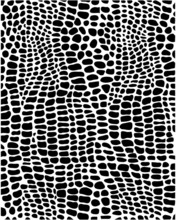 Vector Illustration Of Alligator Skin, Black And White Color