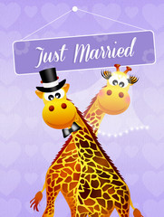 Wall Mural - Wedding of giraffe