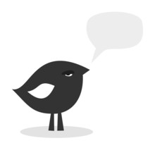 Arrogant Black Bird, Vector Illustration