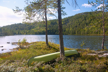 Fototapete - Telemark, Waldlandschaft bei Notodden, Eksjo