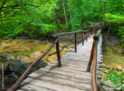 Naklejka na szafę Wooden bridge in the summer canyon.