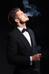 Wall Mural - side of an elegant man enjoying his cigar