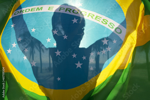 Fotografie, Tablou Brazilian Flag Bright Silhouette Palm Trees