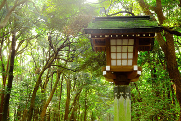 Poster - Japanese lantern in park