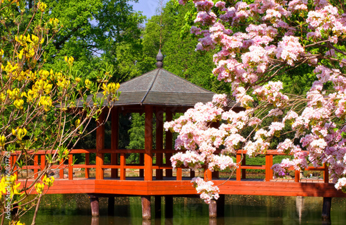 Naklejka na drzwi Japanese pagoda