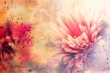 Watercolor Artwork With Beautiful Red Flower