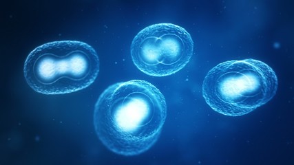 dividing cells