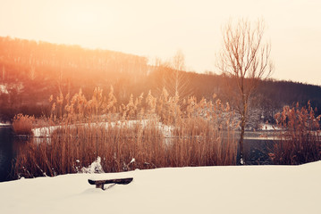 winter park