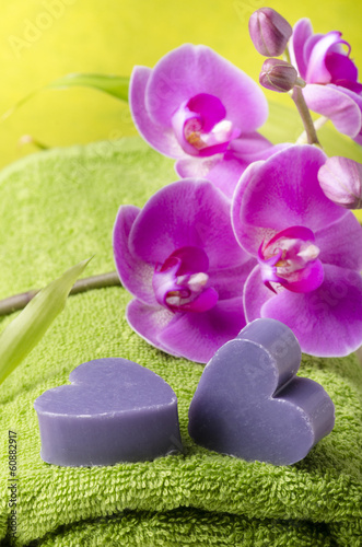 Fototapeta na wymiar orchidea con cuori profumati