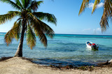 Fototapeta Fototapety z morzem do Twojej sypialni - Caribbean beach with boat