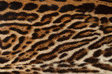 ocelot fur texture