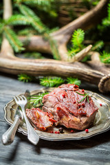 Closeup on freshly baked venison on a plate