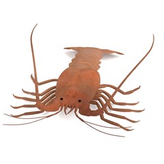 Poster - realistic 3d render of crustacean - spiny lobster