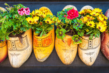 Dutch Old Wooden Clogs With Blooming Flowers