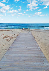 Wall Mural - wooden boardwalk