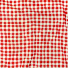 Texture of a vintage checkered picnic blanket.